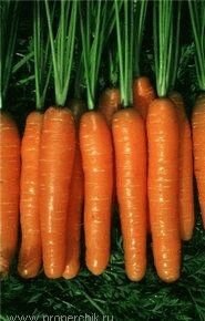 морковка на грядке
