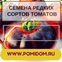 Дом Помидоров - семяна помидоров